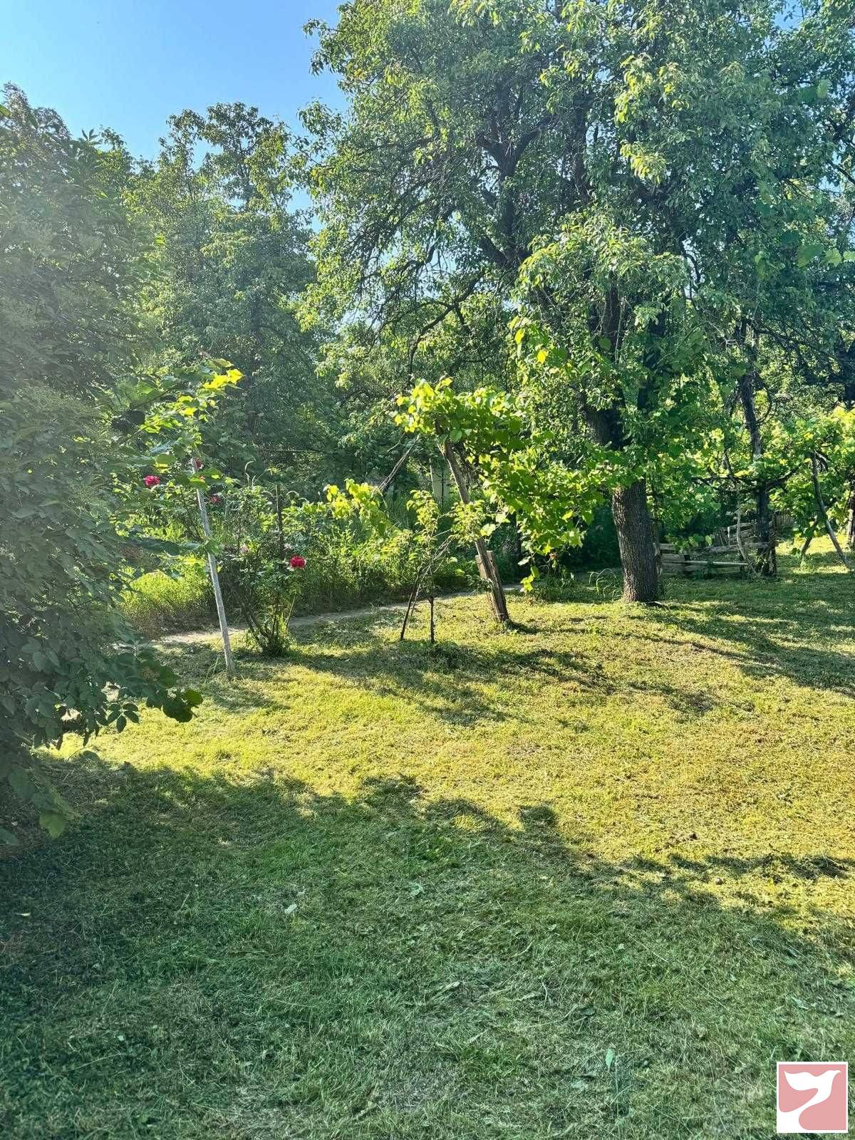 Vanzare casa/vila  4 CAMERE in Piatra-Neamţ, 113 mp