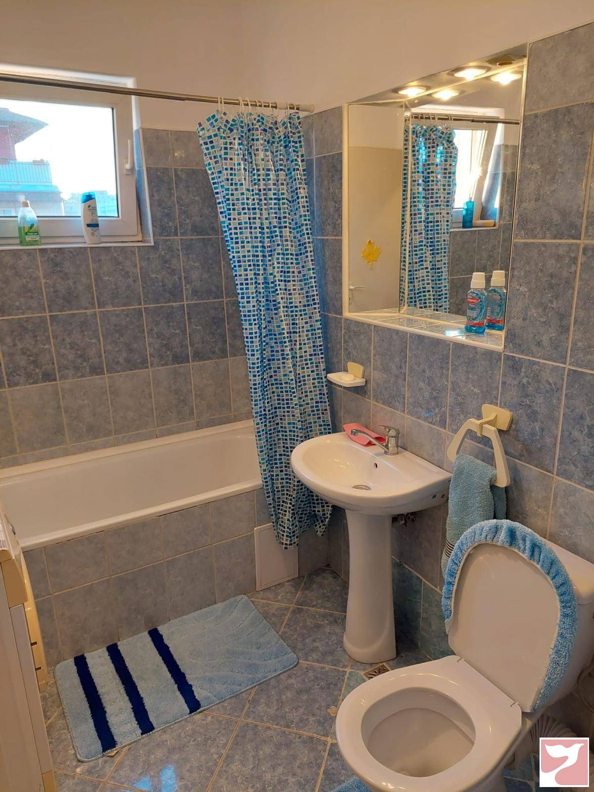 Inchiriere apartament  1 CAMERA in Cluj-Napoca, 36 mp