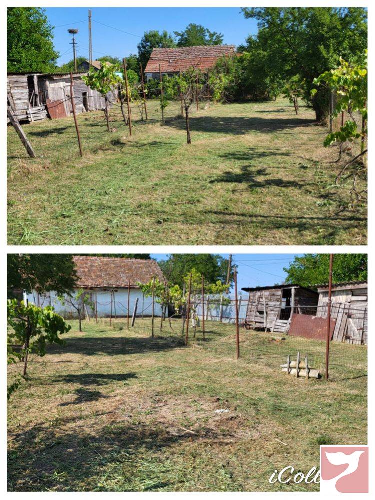 Vanzare casa/vila  2 CAMERE in Timişoara, 3000 mp