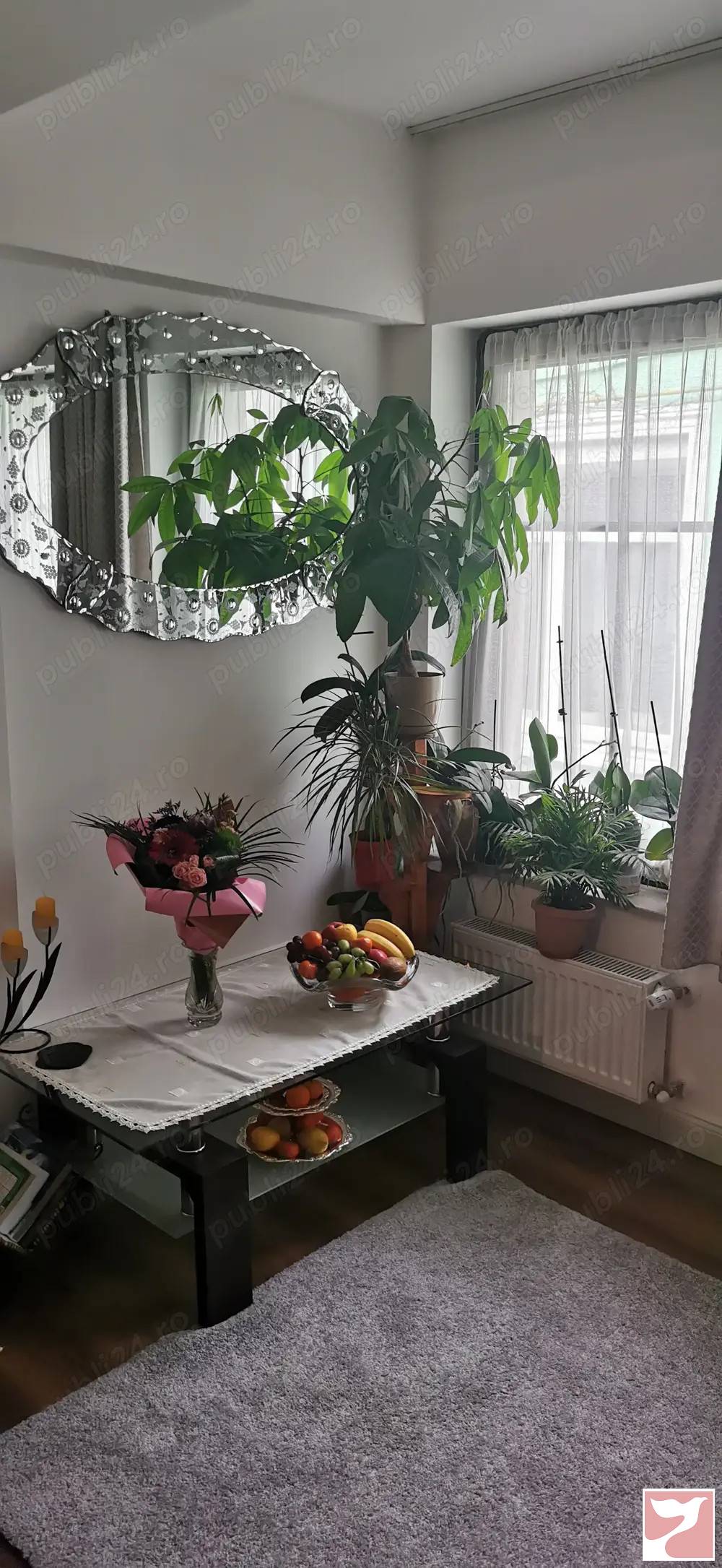 Vanzare casa/vila  3 CAMERE in Oradea, Ultracentral, 124 mp