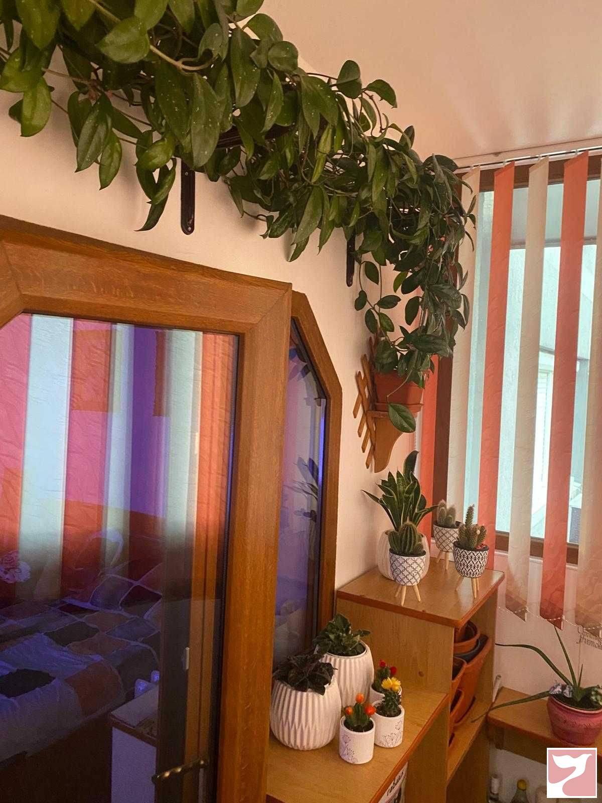 Vanzare apartament  2 CAMERE in Drobeta-Turnu Severin, 55 mp