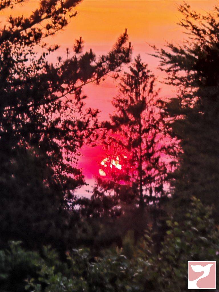 Inchiriere apartament  3 CAMERE in Sibiu, 75 mp