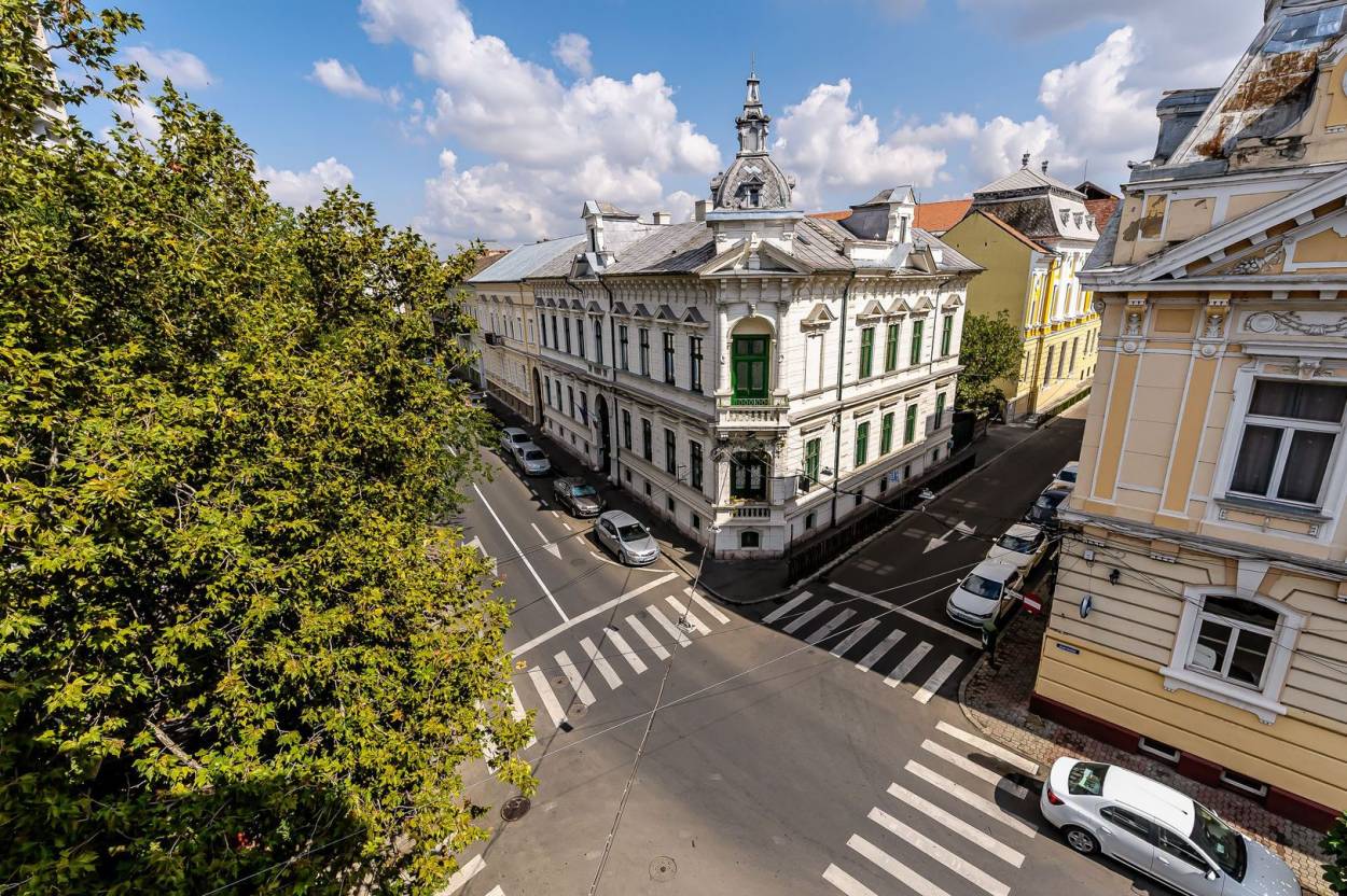 Vanzare casa/vila  10 CAMERE in Arad, Ultracentral, 1900 mp