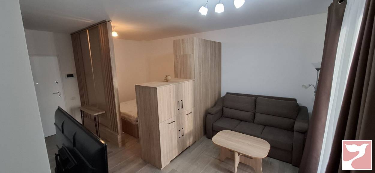 Inchiriere casa/vila  1 CAMERA in Timişoara, 40 mp