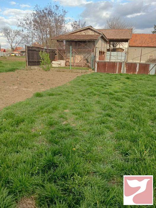 Vanzare casa/vila  5 CAMERE in Oradea, 328 mp