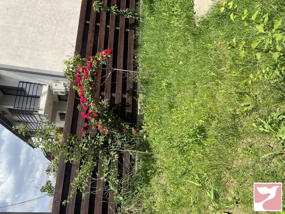 Vanzare casa/vila  4 CAMERE in Bragadiru, 100 mp