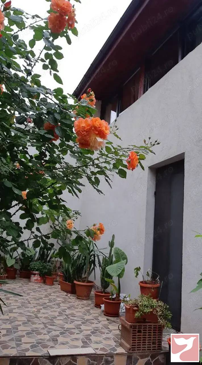 Inchiriere casa/vila  3 CAMERE in Bucuresti, Dorobanți, 120 mp