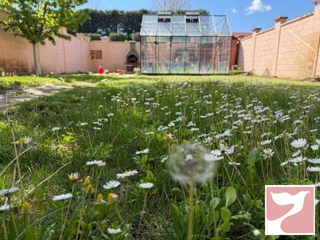 Vanzare casa/vila  4 CAMERE in Timişoara, Braytim, 155 mp