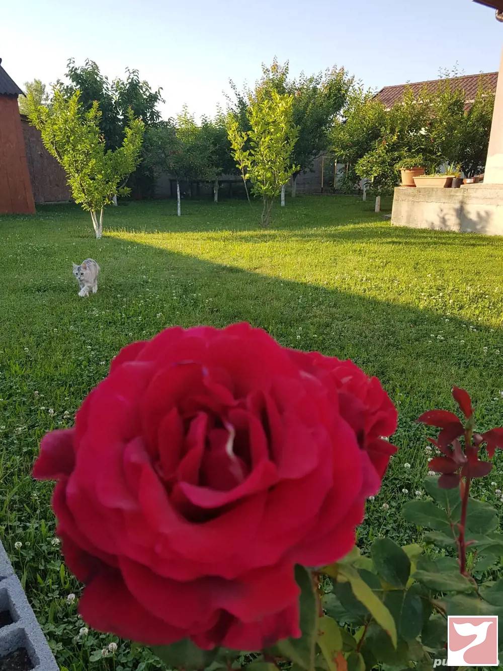 Vanzare casa/vila  3 CAMERE in Craiova, 26 mp