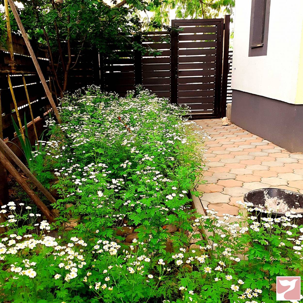 Vanzare apartament  3 CAMERE in Buzău, 156 mp