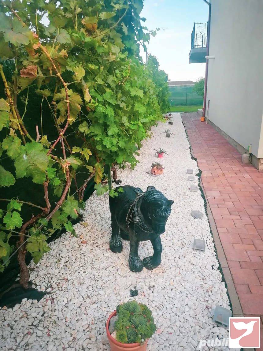 Vanzare casa/vila  3 CAMERE in Timişoara, 179 mp