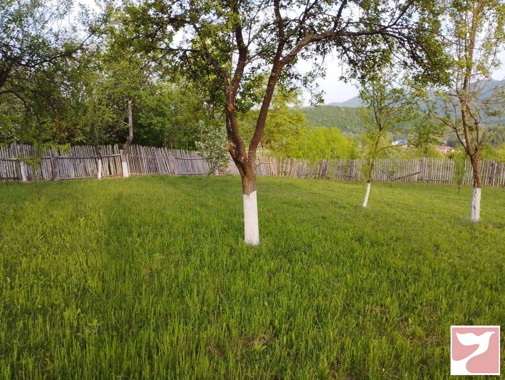 Vanzare casa/vila  2 CAMERE in Oradea