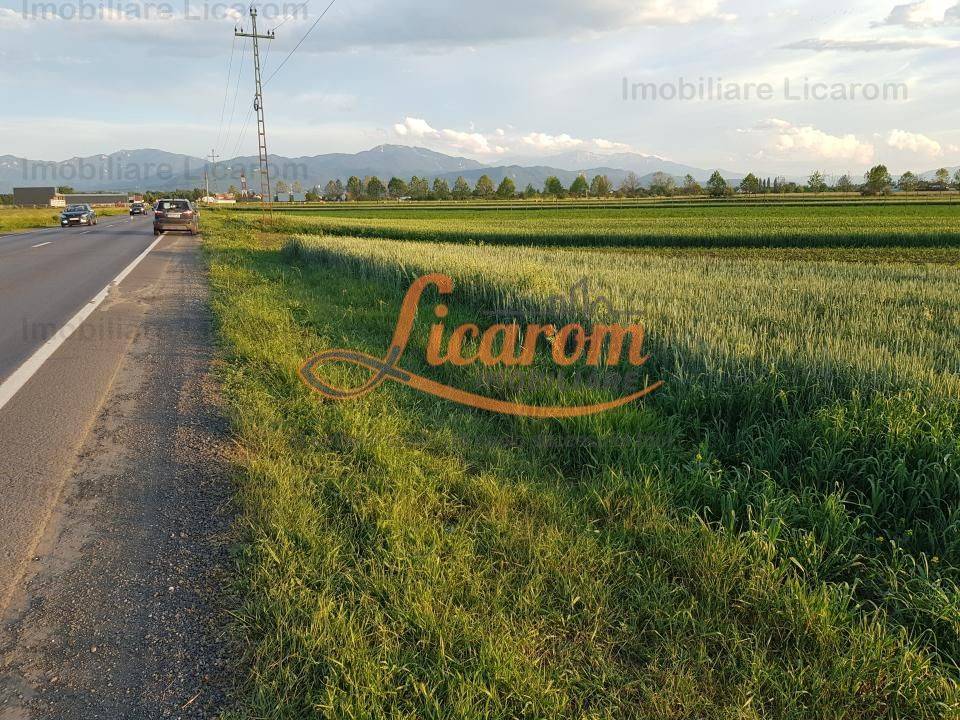 Vanzare teren, in Brasov, Stupini, 4600 mp