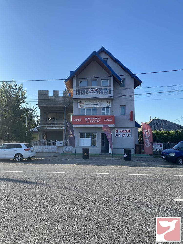 Vanzare casa/vila  4 CAMERE in Iaşi, 357 mp