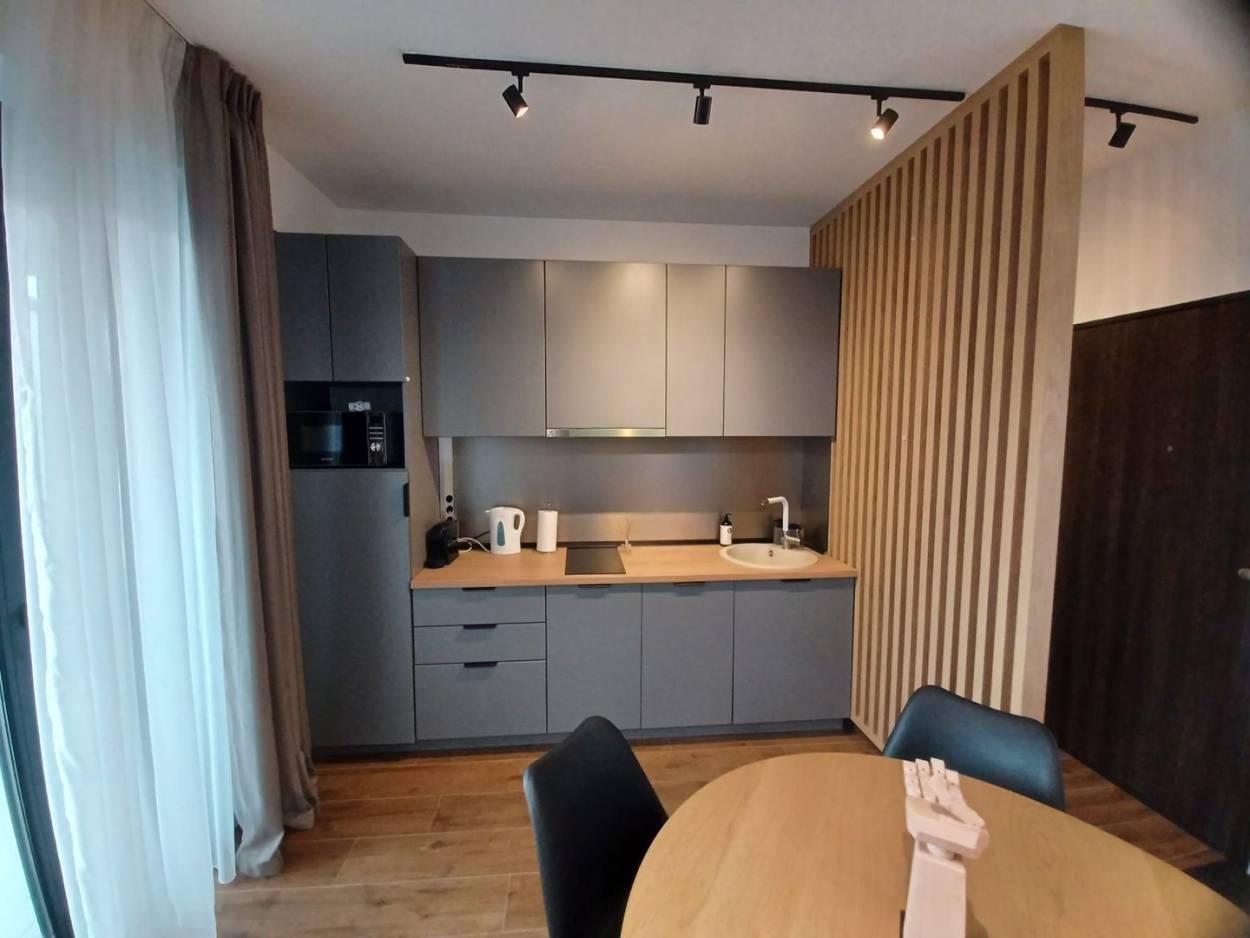 Inchiriere apartament  2 CAMERE in Oradea, Central, 45 mp