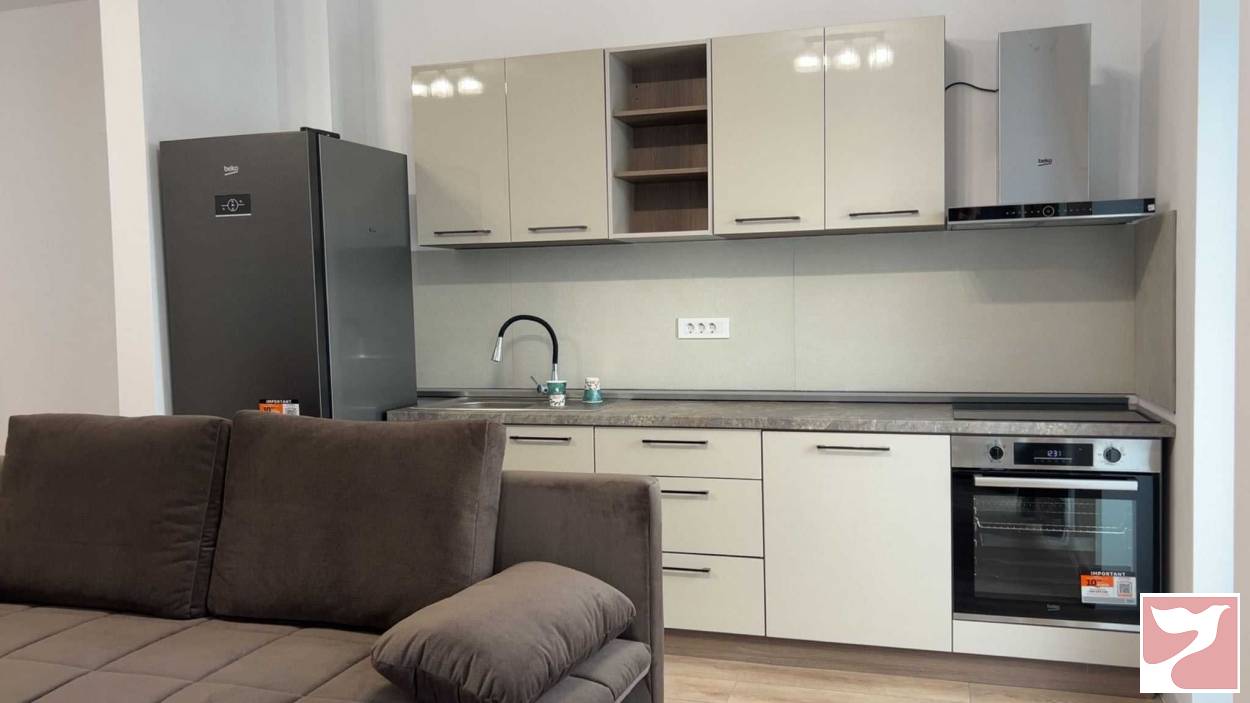 Inchiriere apartament  2 CAMERE in Timişoara, 53 mp