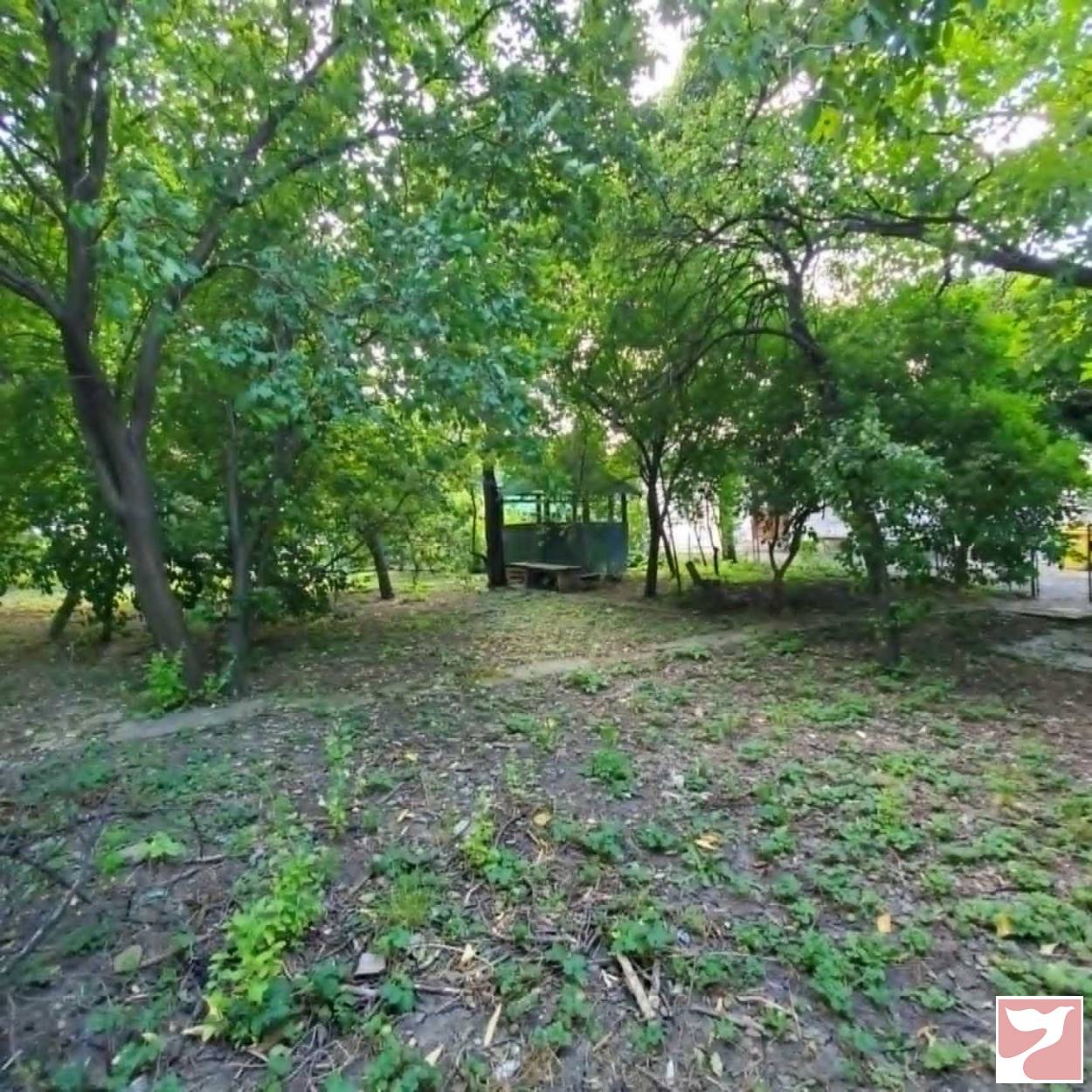 Vanzare casa/vila  4 CAMERE in Suceava, 1030 mp